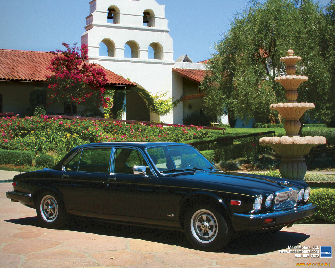 , jaguar